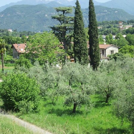 Agriturismo Bonù Gabriele Saló Exterior foto